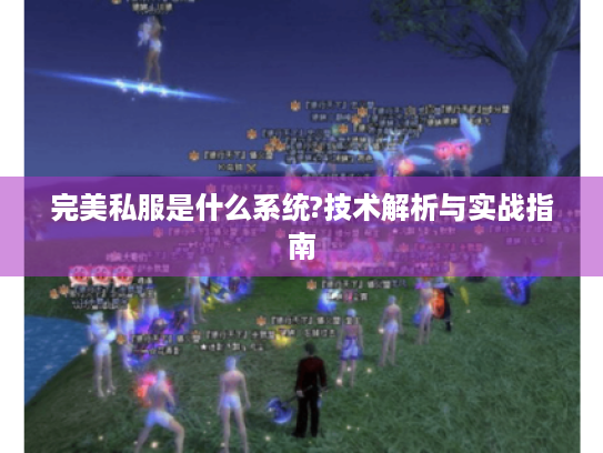 完美私服是什么系统?技术解析与实战指南 完美私服是什么系统?技术解析与实战指南