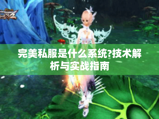 完美私服是什么系统?技术解析与实战指南 完美私服是什么系统?技术解析与实战指南
