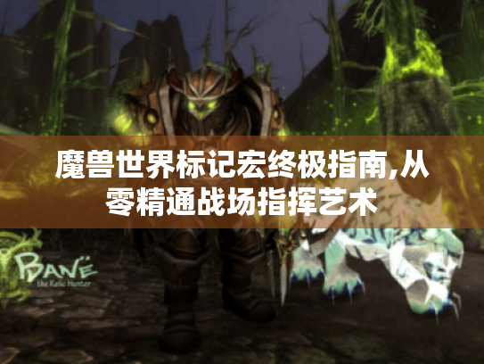 魔兽世界标记宏终极指南,从零精通战场指挥艺术 魔兽世界标记宏终极指南,从零精通战场指挥艺术