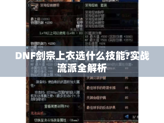 DNF剑宗上衣选什么技能?实战流派全解析