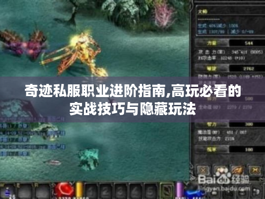 奇迹私服职业进阶指南,高玩必看的实战技巧与隐藏玩法