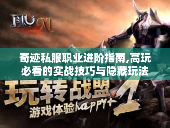 奇迹私服职业进阶指南,高玩必看的实战技巧与隐藏玩法