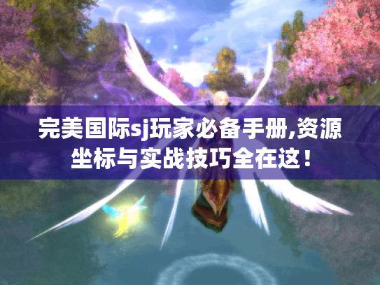 完美国际sj玩家必备手册,资源坐标与实战技巧全在这! 完美国际sj玩家必备手册,资源坐标与实战技巧全在这!