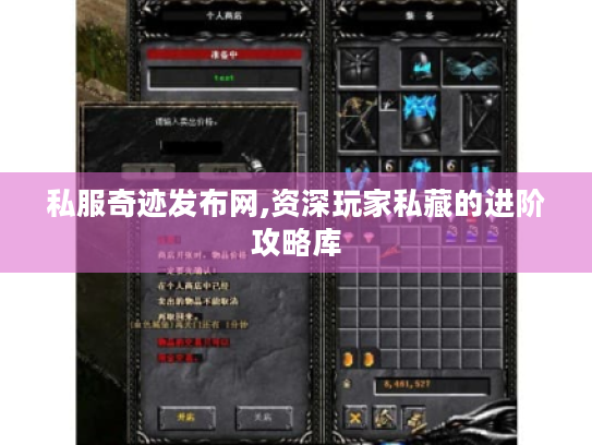 私服奇迹发布网,资深玩家私藏的进阶攻略库