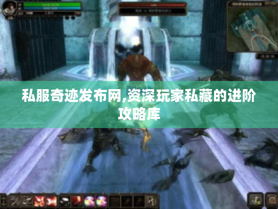 私服奇迹发布网,资深玩家私藏的进阶攻略库