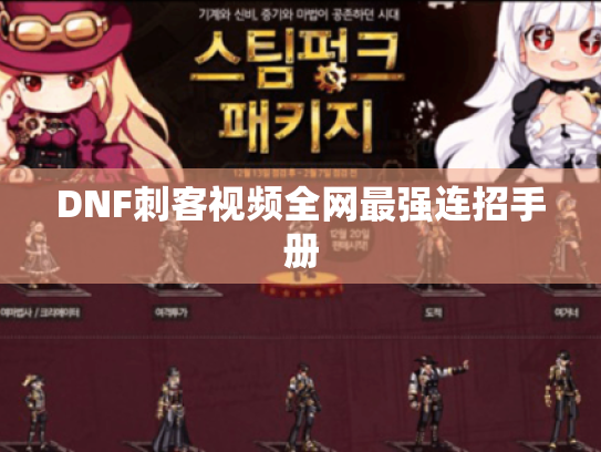 DNF刺客视频全网最强连招手册 DNF刺客视频全网最强连招手册