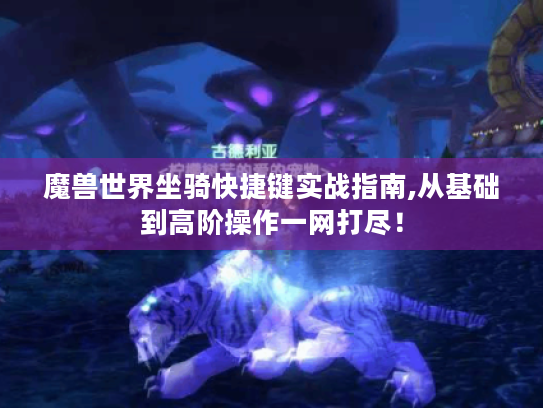 魔兽世界坐骑快捷键实战指南,从基础到高阶操作一网打尽! 魔兽世界坐骑快捷键实战指南,从基础到高阶操作一网打尽!