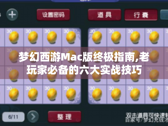 梦幻西游Mac版终极指南,老玩家必备的六大实战技巧 梦幻西游Mac版终极指南,老玩家必备的六大实战技巧