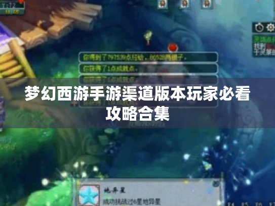 梦幻西游手游渠道版本玩家必看攻略合集 梦幻西游手游渠道版本玩家必看攻略合集