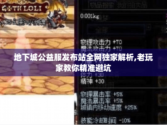 地下城公益服发布站全网独家解析,老玩家教你精准避坑 地下城公益服发布站全网独家解析,老玩家教你精准避坑
