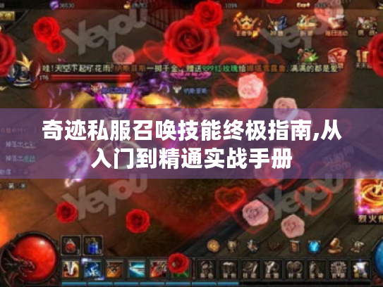 奇迹私服召唤技能终极指南,从入门到精通实战手册 奇迹私服召唤技能终极指南,从入门到精通实战手册