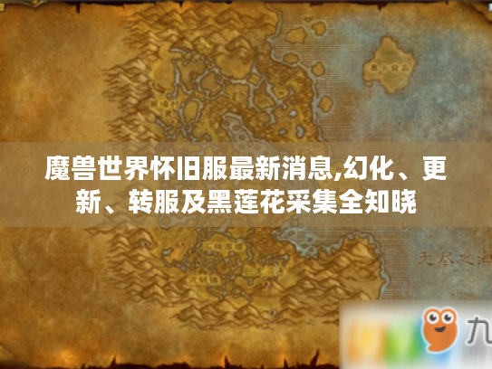 魔兽世界怀旧服最新消息,幻化、更新、转服及黑莲花采集全知晓 魔兽世界怀旧服最新消息,幻化、更新、转服及黑莲花采集全知晓