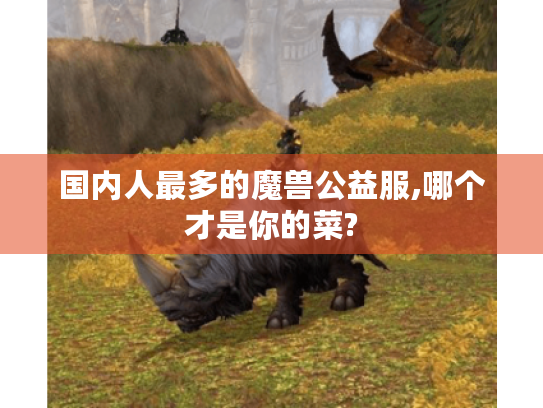 国内人最多的魔兽公益服,哪个才是你的菜? 国内人最多的魔兽公益服,哪个才是你的菜?
