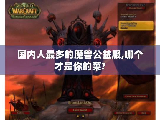 国内人最多的魔兽公益服,哪个才是你的菜? 国内人最多的魔兽公益服,哪个才是你的菜?