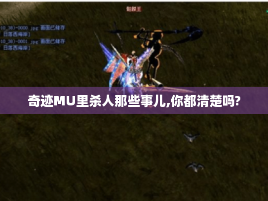 奇迹MU里杀人那些事儿,你都清楚吗? 奇迹MU里杀人那些事儿,你都清楚吗?