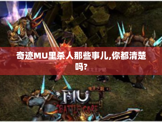 奇迹MU里杀人那些事儿,你都清楚吗? 奇迹MU里杀人那些事儿,你都清楚吗?