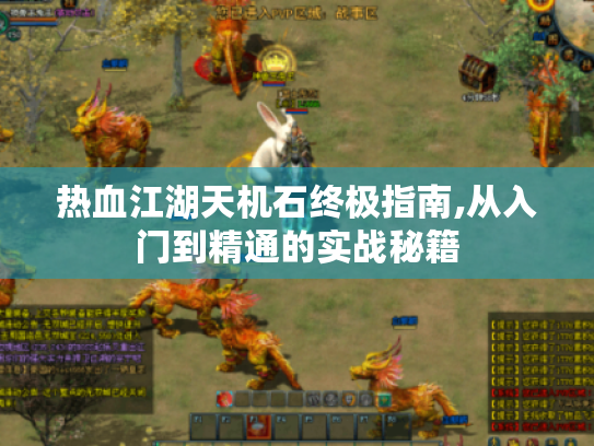 热血江湖天机石终极指南,从入门到精通的实战秘籍 热血江湖天机石终极指南,从入门到精通的实战秘籍