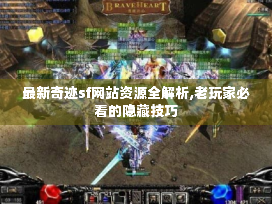 最新奇迹sf网站资源全解析,老玩家必看的隐藏技巧 最新奇迹sf网站资源全解析,老玩家必看的隐藏技巧