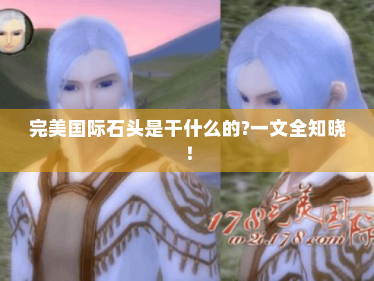 完美国际石头是干什么的?一文全知晓！