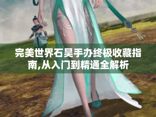 完美世界石昊手办终极收藏指南,从入门到精通全解析