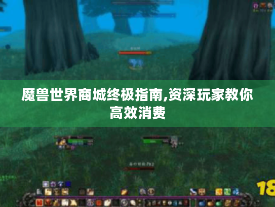 魔兽世界商城终极指南,资深玩家教你高效消费 魔兽世界商城终极指南,资深玩家教你高效消费