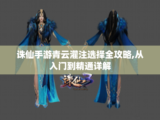 诛仙手游青云灌注选择全攻略,从入门到精通详解 诛仙手游青云灌注选择全攻略,从入门到精通详解