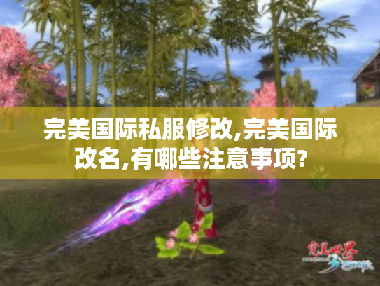 完美国际私服修改,完美国际改名,有哪些注意事项?