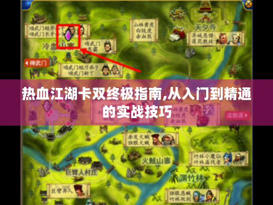 热血江湖卡双终极指南,从入门到精通的实战技巧 热血江湖卡双终极指南,从入门到精通的实战技巧