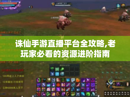 诛仙手游直播平台全攻略,老玩家必看的资源进阶指南 诛仙手游直播平台全攻略,老玩家必看的资源进阶指南