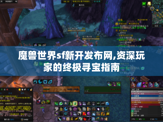 魔兽世界sf新开发布网,资深玩家的终极寻宝指南 魔兽世界sf新开发布网,资深玩家的终极寻宝指南