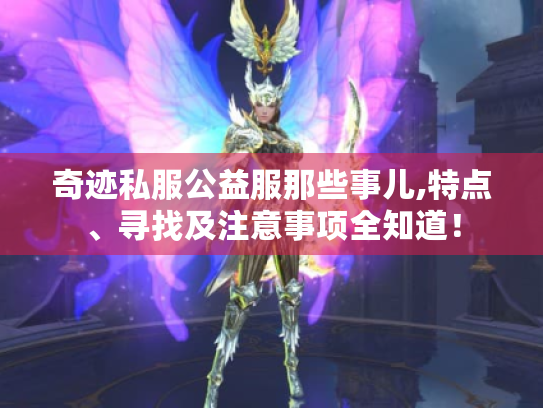 奇迹私服公益服那些事儿,特点、寻找及注意事项全知道！