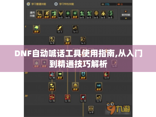 DNF自动喊话工具使用指南,从入门到精通技巧解析