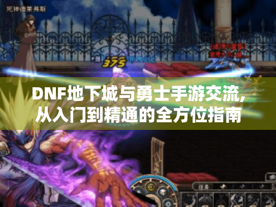 DNF地下城与勇士手游交流,从入门到精通的全方位指南