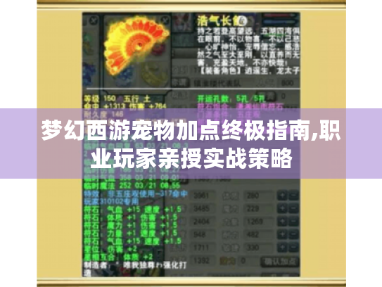 梦幻西游宠物加点终极指南,职业玩家亲授实战策略 梦幻西游宠物加点终极指南,职业玩家亲授实战策略