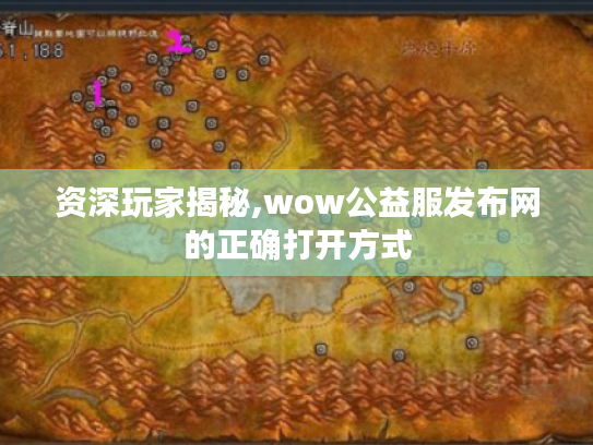 资深玩家揭秘,wow公益服发布网的正确打开方式 资深玩家揭秘,wow公益服发布网的正确打开方式