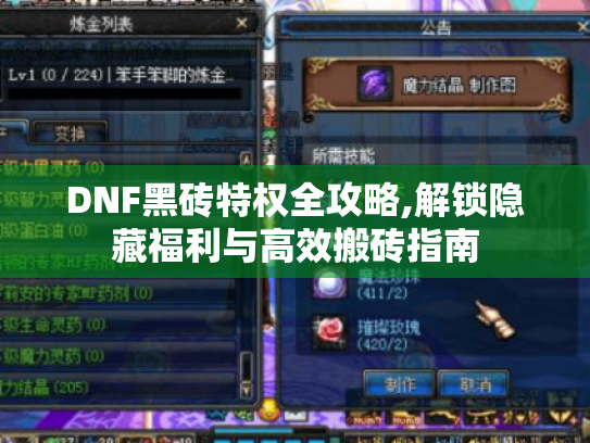 DNF黑砖特权全攻略,解锁隐藏福利与高效搬砖指南 DNF黑砖特权全攻略,解锁隐藏福利与高效搬砖指南