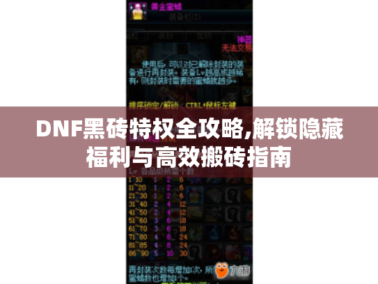 DNF黑砖特权全攻略,解锁隐藏福利与高效搬砖指南 DNF黑砖特权全攻略,解锁隐藏福利与高效搬砖指南