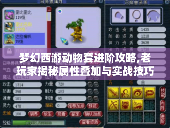 梦幻西游动物套进阶攻略,老玩家揭秘属性叠加与实战技巧 梦幻西游动物套进阶攻略,老玩家揭秘属性叠加与实战技巧