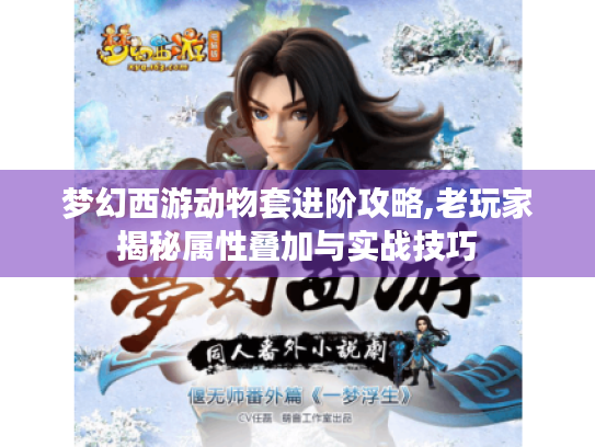 梦幻西游动物套进阶攻略,老玩家揭秘属性叠加与实战技巧 梦幻西游动物套进阶攻略,老玩家揭秘属性叠加与实战技巧