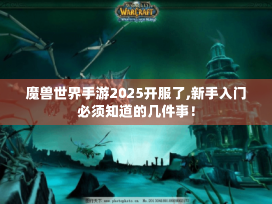 魔兽世界手游2025开服了,新手入门必须知道的几件事! 魔兽世界手游2025开服了,新手入门必须知道的几件事!