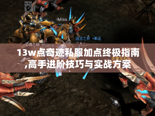 13w点奇迹私服加点终极指南,高手进阶技巧与实战方案