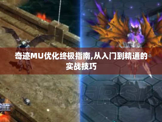 奇迹MU优化终极指南,从入门到精通的实战技巧 奇迹MU优化终极指南,从入门到精通的实战技巧