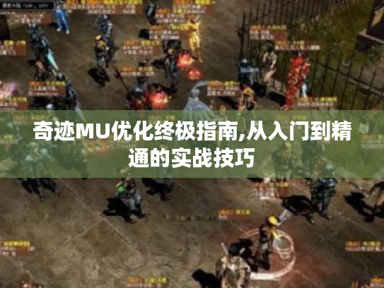奇迹MU优化终极指南,从入门到精通的实战技巧 奇迹MU优化终极指南,从入门到精通的实战技巧