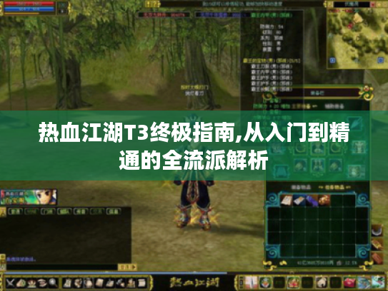 热血江湖T3终极指南,从入门到精通的全流派解析 热血江湖T3终极指南,从入门到精通的全流派解析