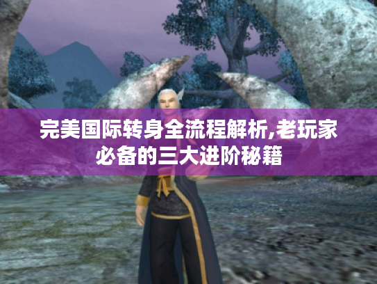 完美国际转身全流程解析,老玩家必备的三大进阶秘籍 完美国际转身全流程解析,老玩家必备的三大进阶秘籍