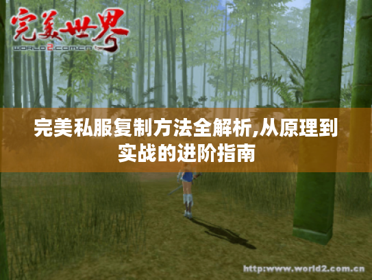 完美私服复制方法全解析,从原理到实战的进阶指南 完美私服复制方法全解析,从原理到实战的进阶指南