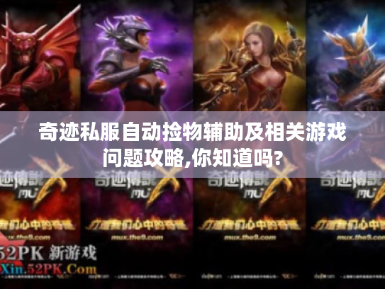 奇迹私服自动捡物辅助及相关游戏问题攻略,你知道吗? 奇迹私服自动捡物辅助及相关游戏问题攻略,你知道吗?