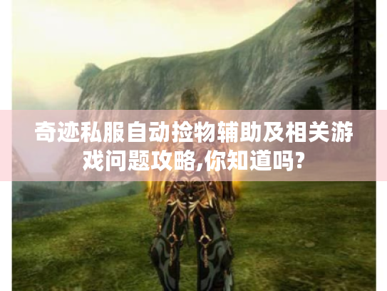 奇迹私服自动捡物辅助及相关游戏问题攻略,你知道吗? 奇迹私服自动捡物辅助及相关游戏问题攻略,你知道吗?
