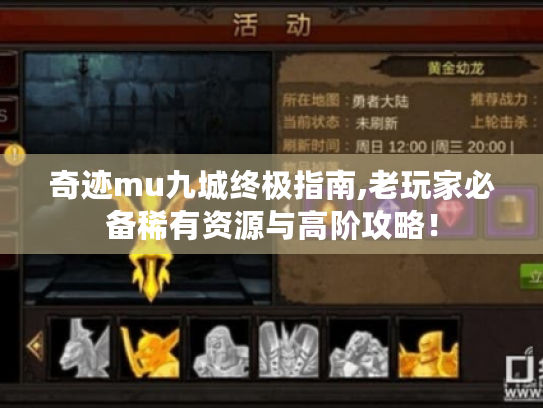 奇迹mu九城终极指南,老玩家必备稀有资源与高阶攻略! 奇迹mu九城终极指南,老玩家必备稀有资源与高阶攻略!