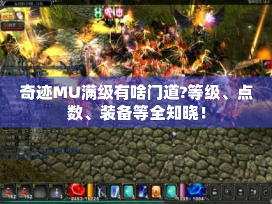 奇迹MU满级有啥门道?等级、点数、装备等全知晓! 奇迹MU满级有啥门道?等级、点数、装备等全知晓!